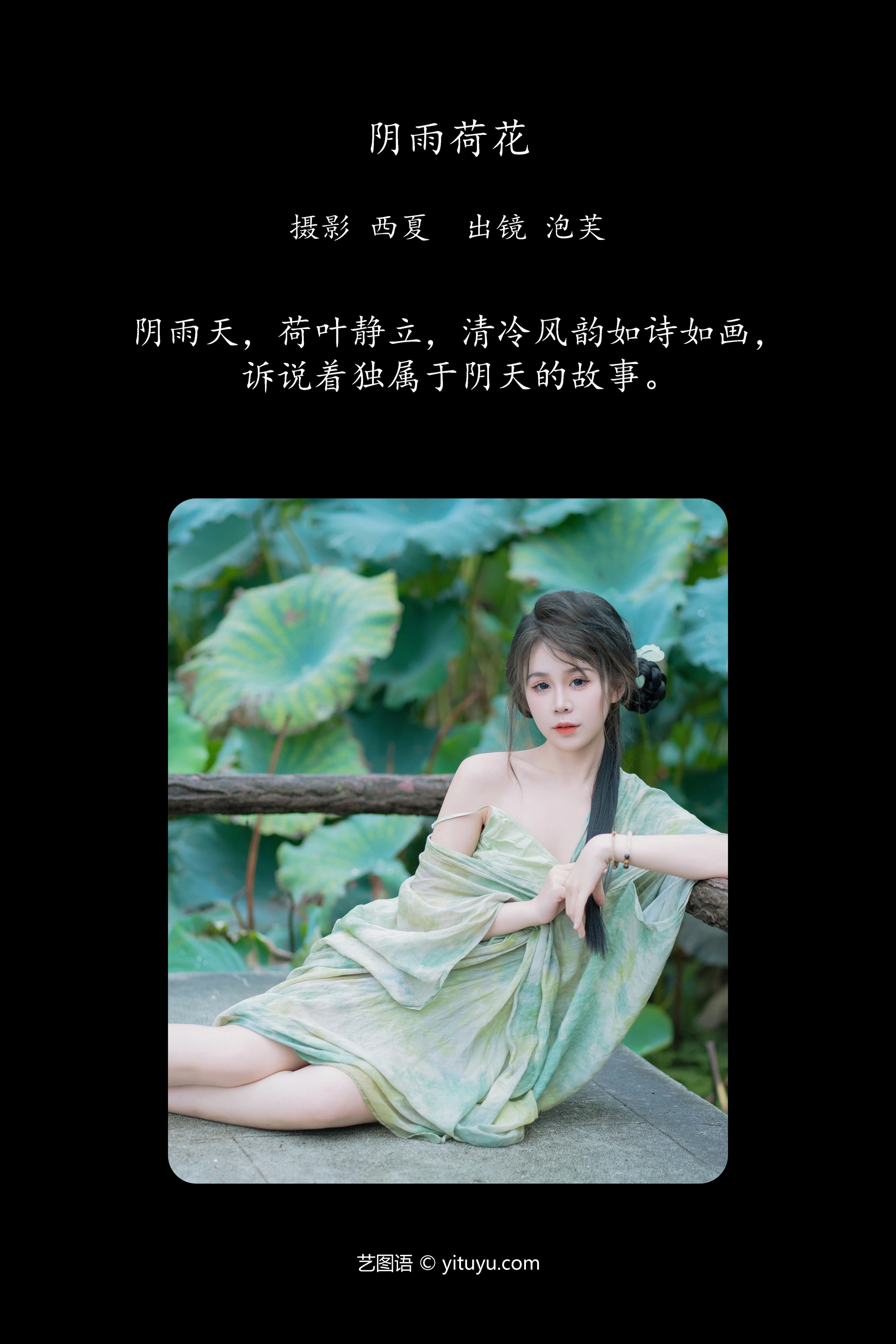 [YITUYU艺图语]2024.12.14 阴雨荷花 泡芙小方 0
